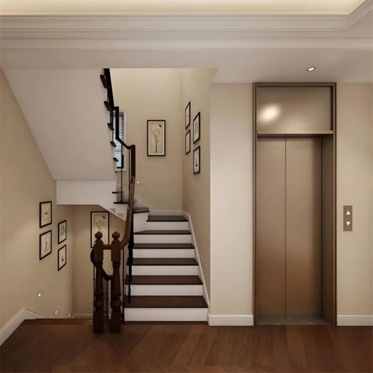 Residential Passenger Lift factory